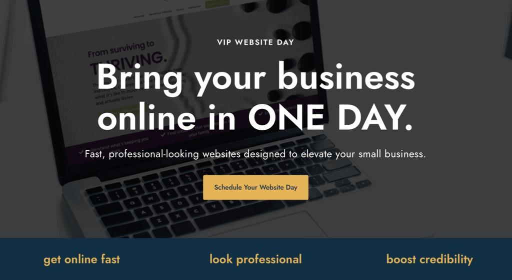 website in a day